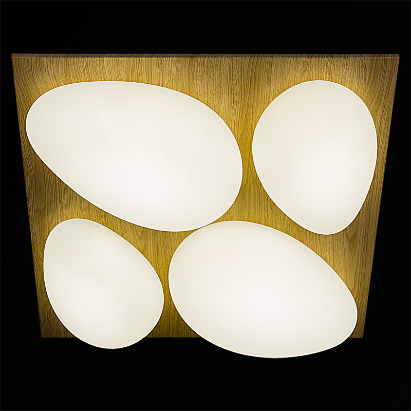10010-0.3-80W "L" светильник потолочный