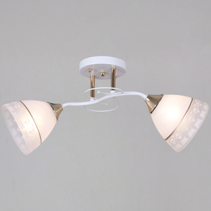 11460-0.3-02 WH+FG светильник потолочный