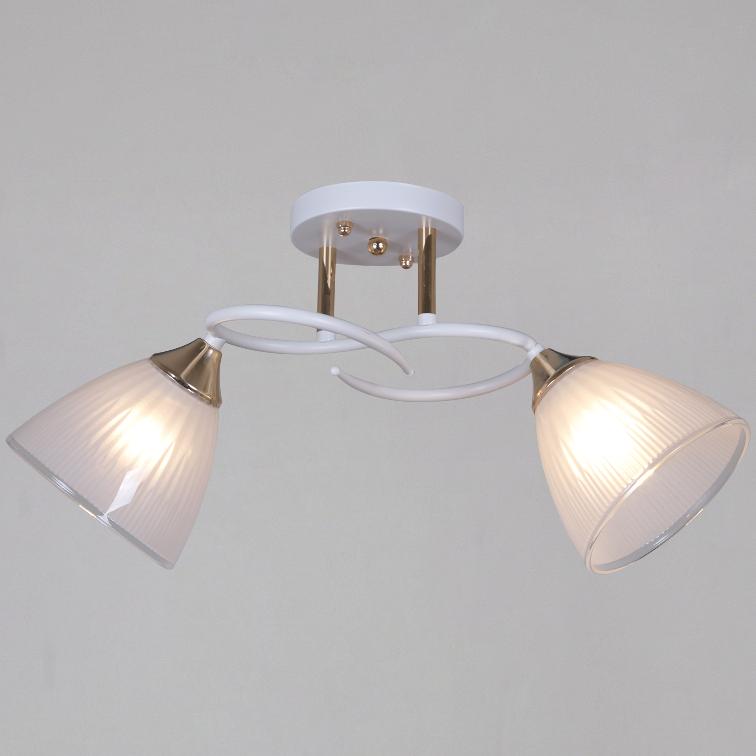 04360-0.3-02 WH+FG светильник потолочный