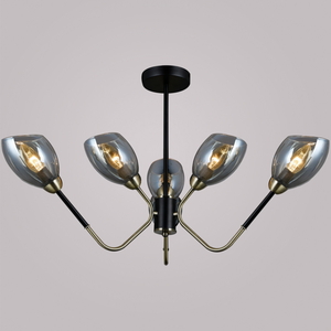 IL9960-6CSQ-79 BK AB светильник потолочный