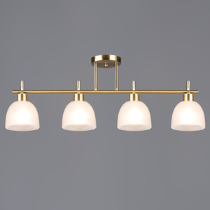 06417-0.3-04 "L" светильник потолочный