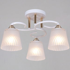 06360-0.3-03 WH+FG светильник потолочный