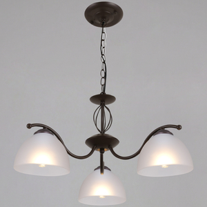 PL 16247-0.4-03 CF светильник потолочный