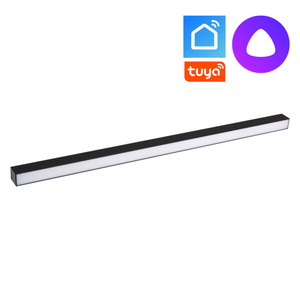 13003-9.3-001UR magnetic LED20W BK CCT+SMART