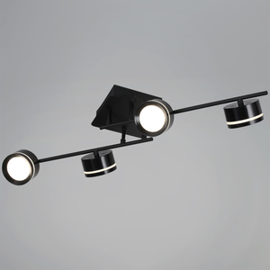 10590-0.3-04 Black светильник потолочный