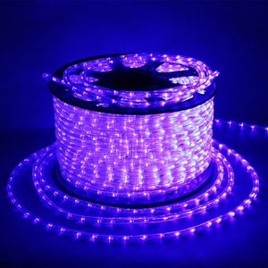 11-2W-100M-220V-LED-U BL дюралайт круглый