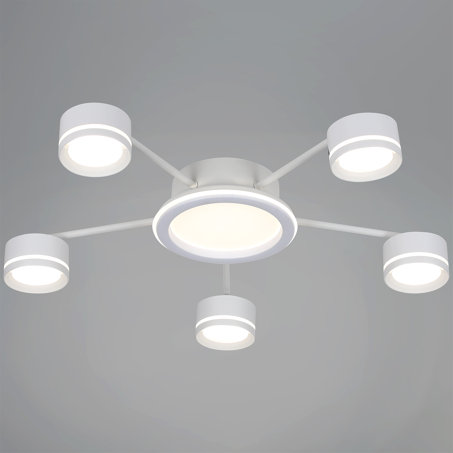 20590-0.3-5+1 White светильник потолочный