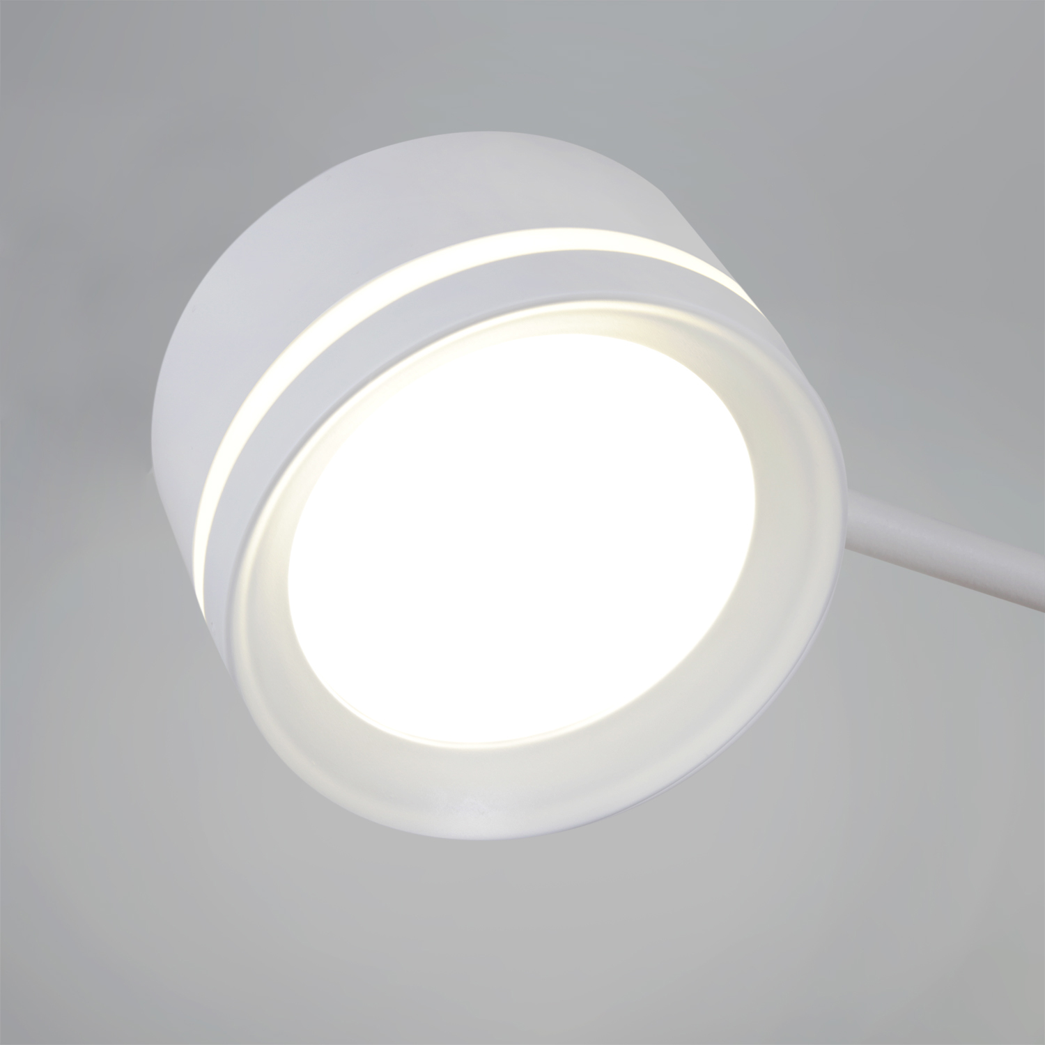 20590-0.3-8+1 "L" White светильник потолочный