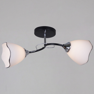 79360-0.3-02 BK+CR светильник потолочный