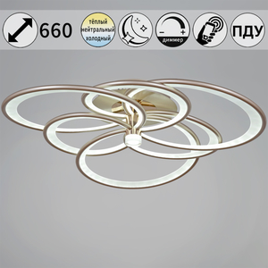 09246-0.3-3+3 Champaign silver светильник потолочный