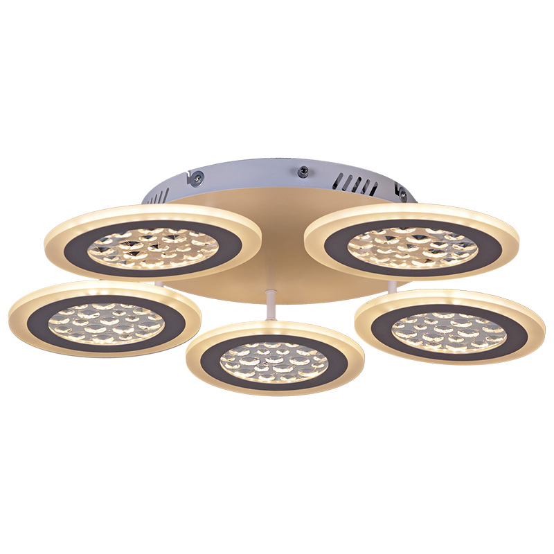 20491-0.3-05 WT светильник потолочный