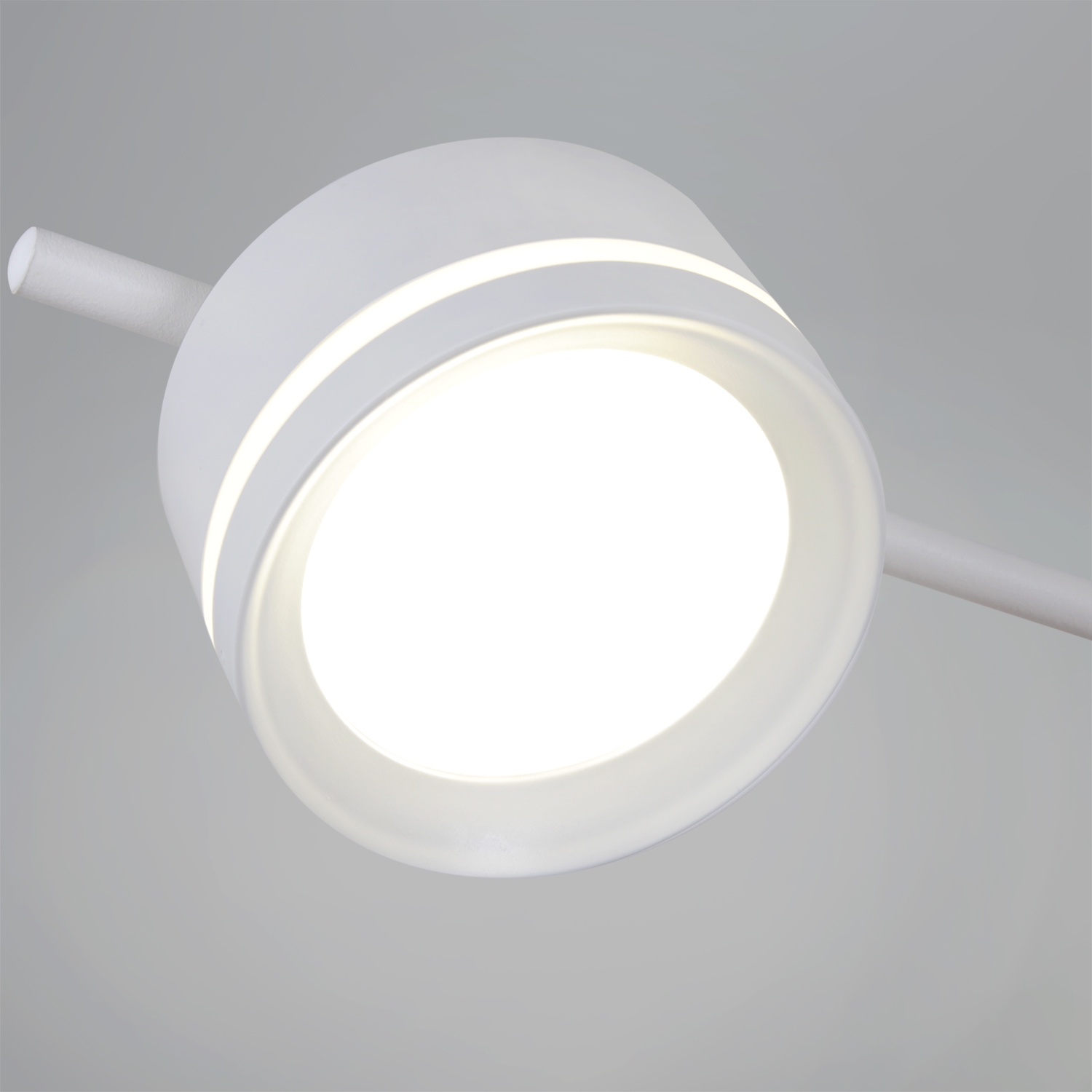 10590-0.3-10 White светильник потолочный