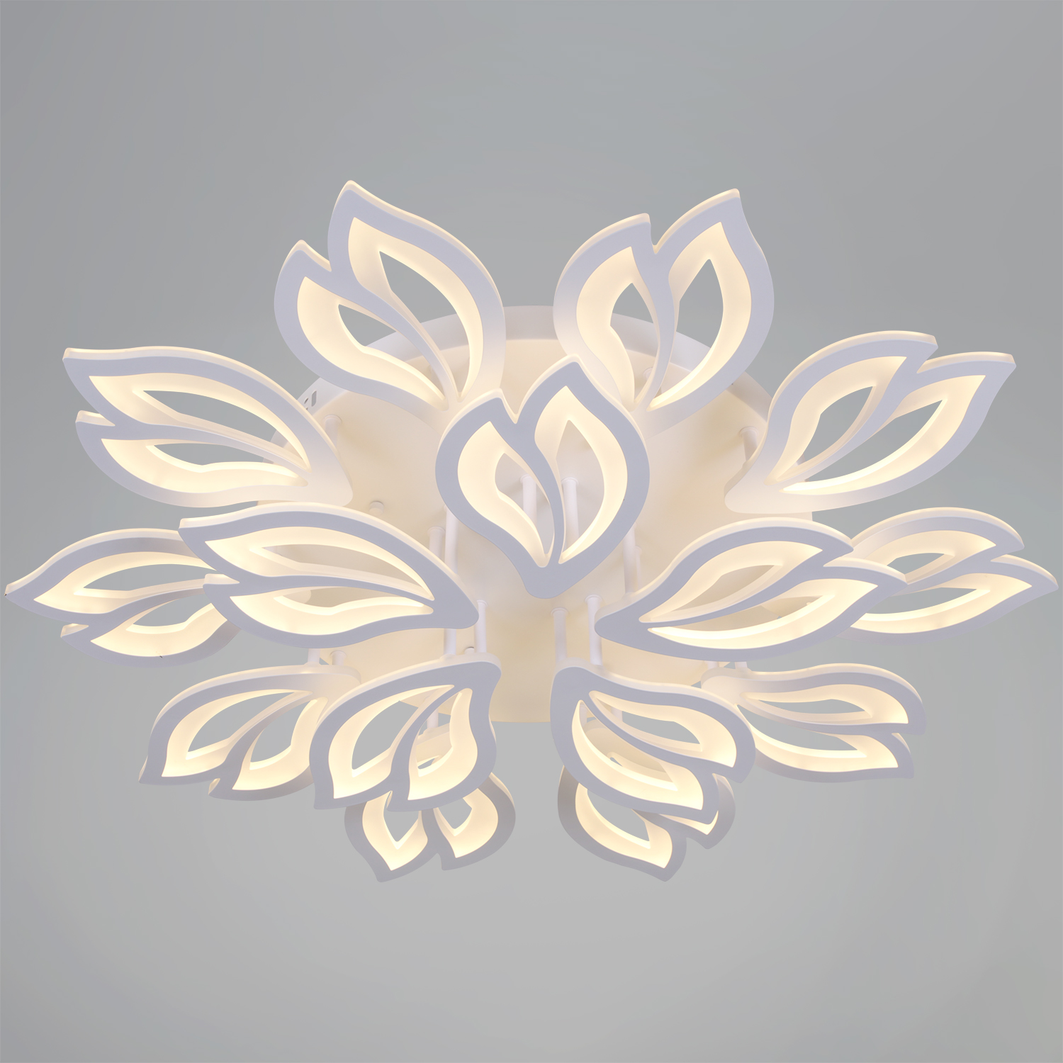 10150-0.3-10+5 WH светильник потолочный