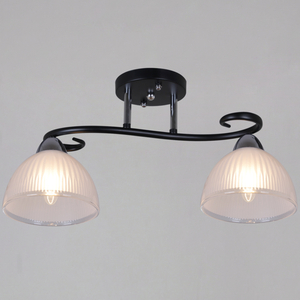 66360-0.3-02 BK+CR светильник потолочный