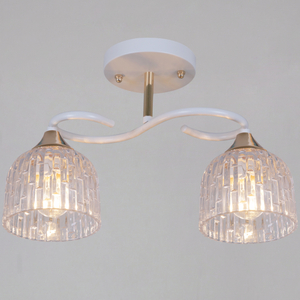 16360-0.3-02 WH+FG светильник потолочный