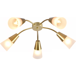 01266-0.3-05 "L" светильник потолочный