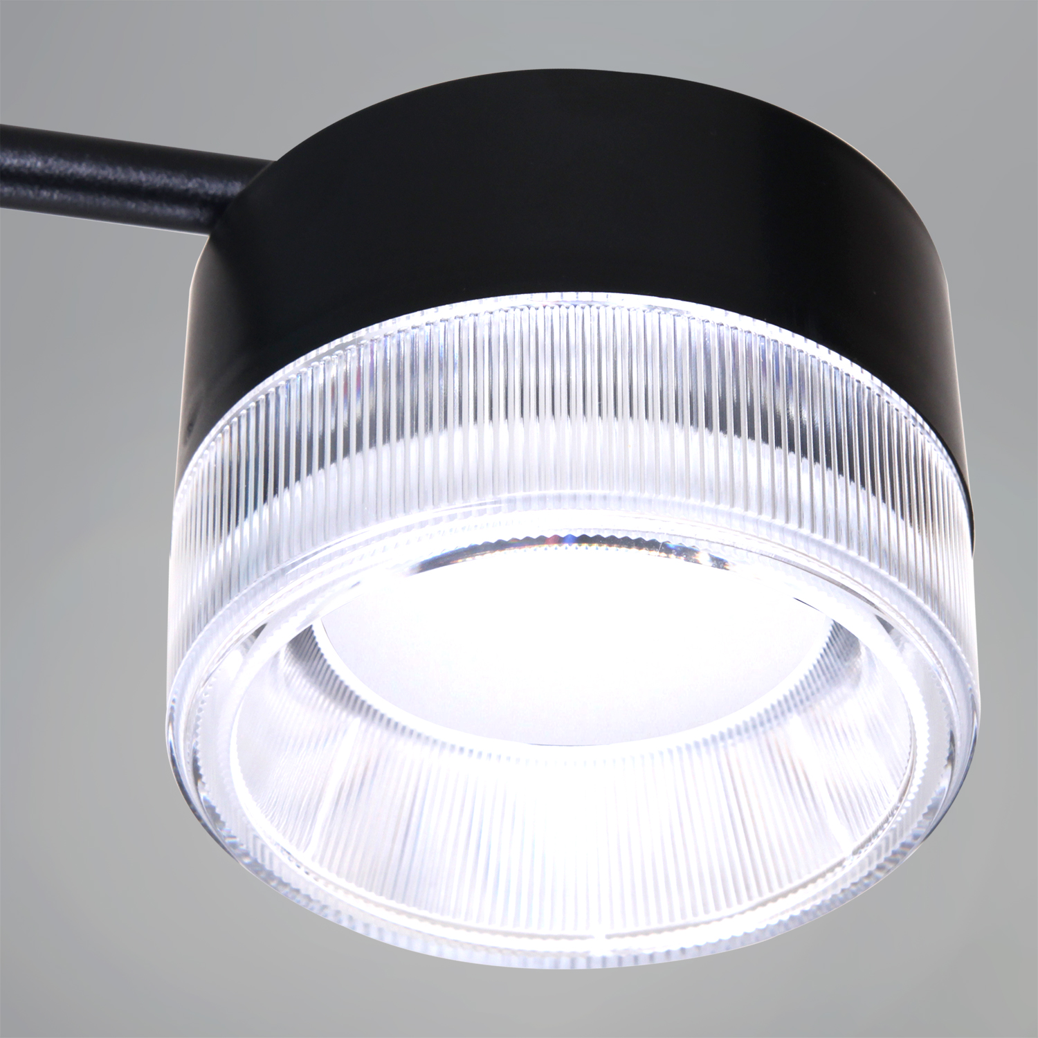 19490-0.4-6+6 Black светильник потолочный