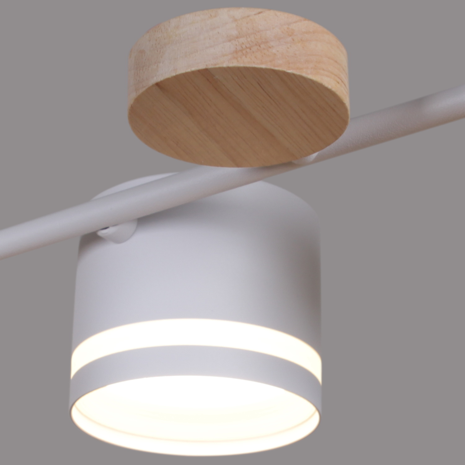 68730-0.3-08 GX53 WH+WOOD светильник потолочный