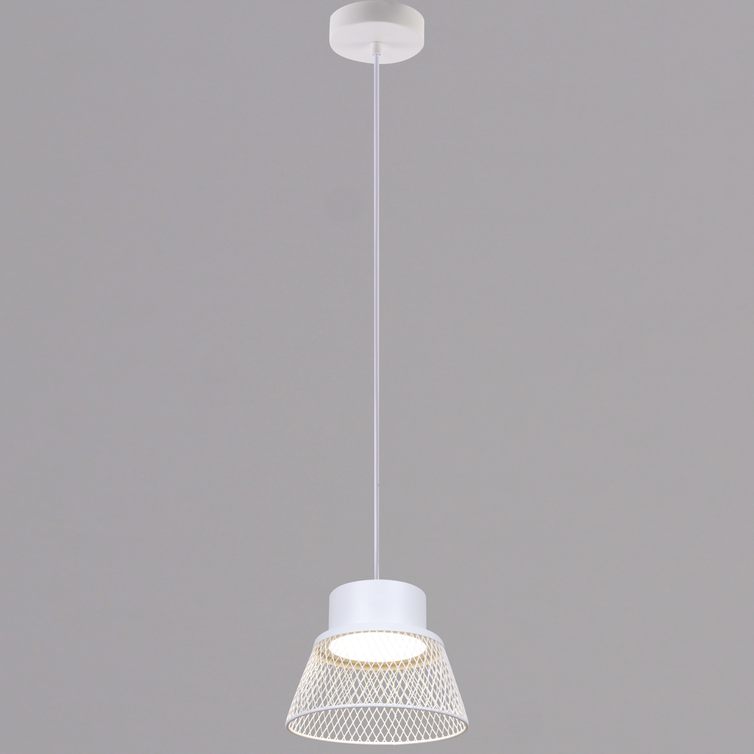 01109-0.9-01 WT светильник потолочный