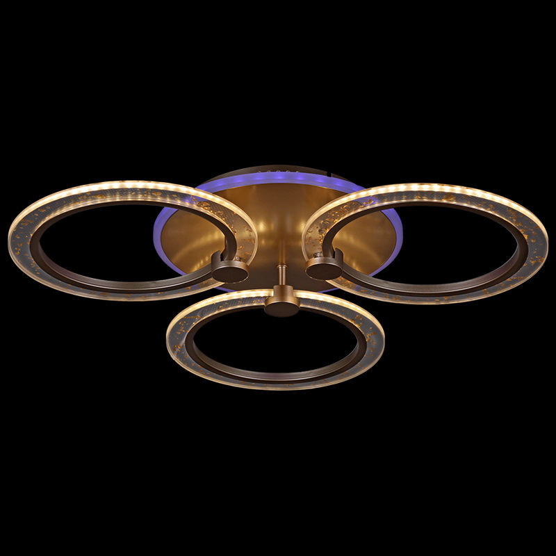 20425-0.3-3+1L "L" светильник потолочный