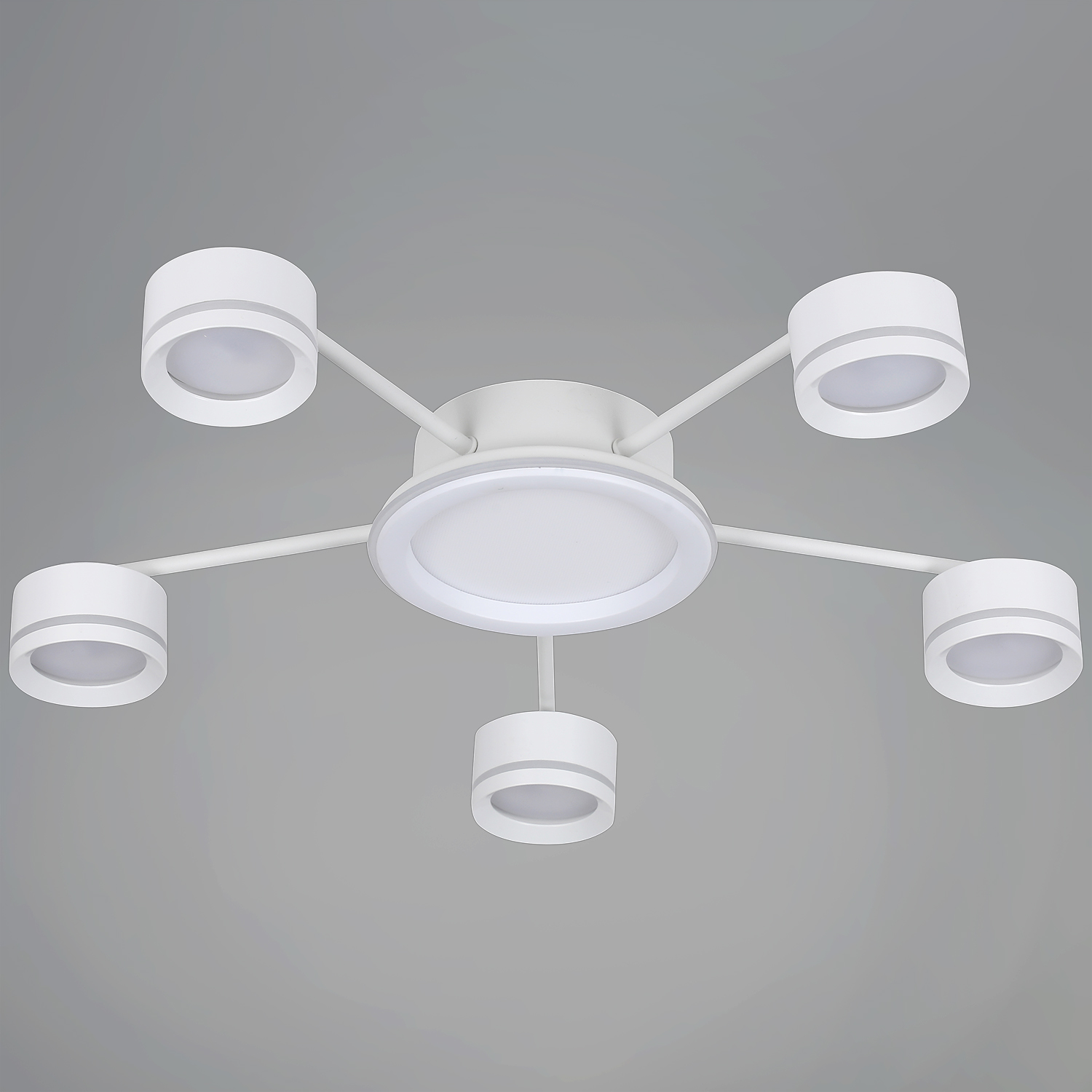 20590-0.3-5+1 White светильник потолочный