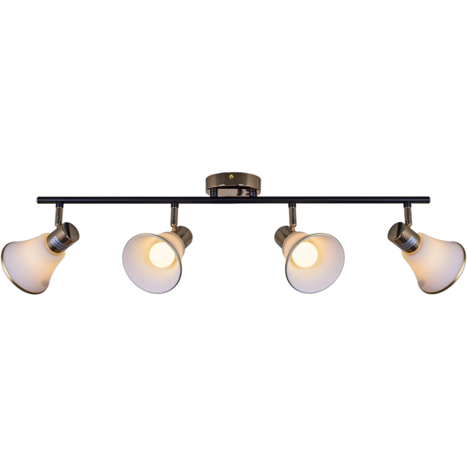 05901-0.8-04 BK+FGD светильник потолочный