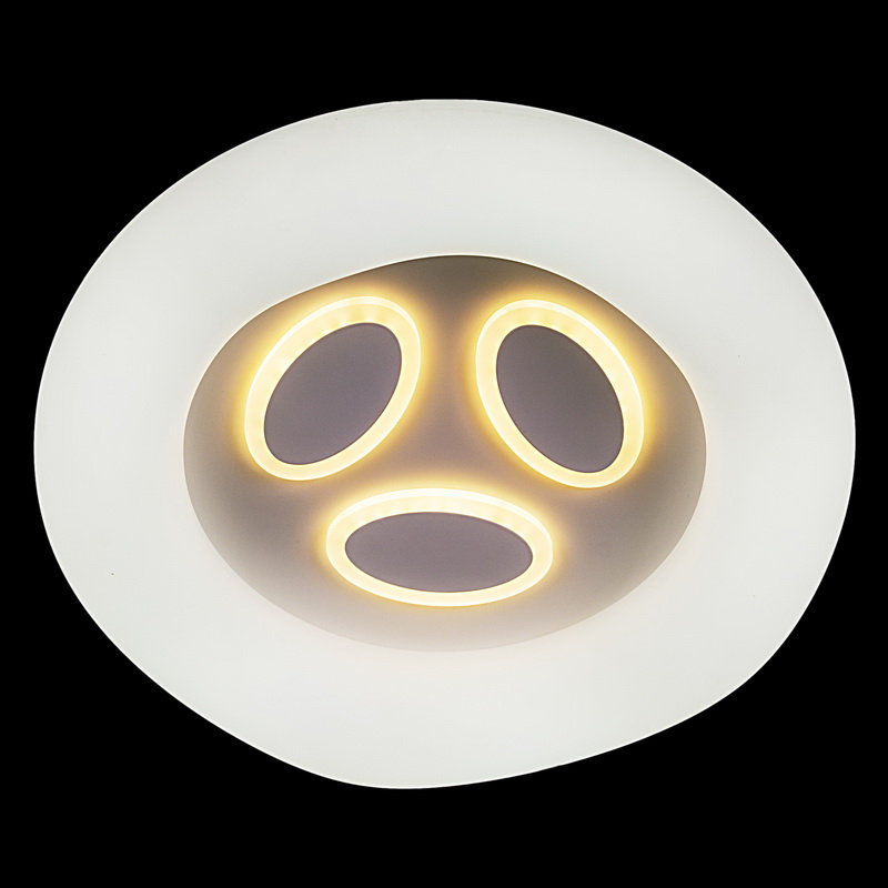 10008-0.3-80W PLANET светильник потолочный