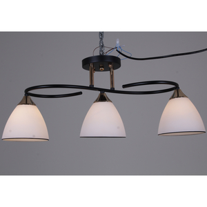 06231-0.3-03 "L" светильник потолочный