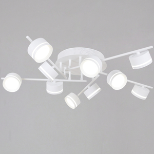 10590-0.3-10 White светильник потолочный