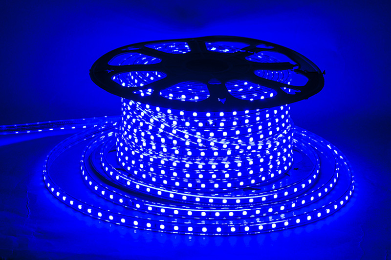 5050-60-220V BL 50м светодиодная лента 60LED/м, 220V