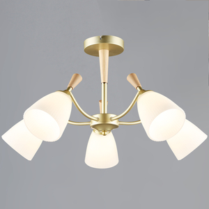 38960-0.3-05 "L" светильник потолочный