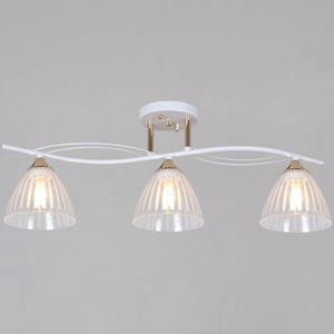 73460-0.3-03 WH+FG светильник потолочный