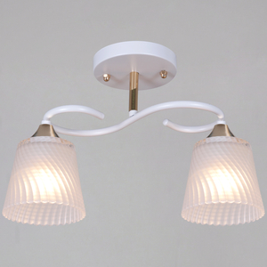 06360-0.3-02 WH+FG светильник потолочный