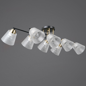 IL0845-8CSQ-25BKAB ELITE светильник потолочный