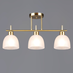 06417-0.3-03 "L" светильник потолочный