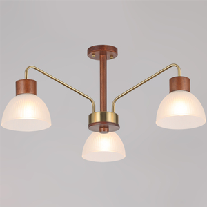 IL0286-3C-79 "L" светильник потолочный