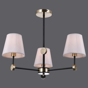 IL0394-3CSQ-24 BK AB CASTOR светильник потолочный