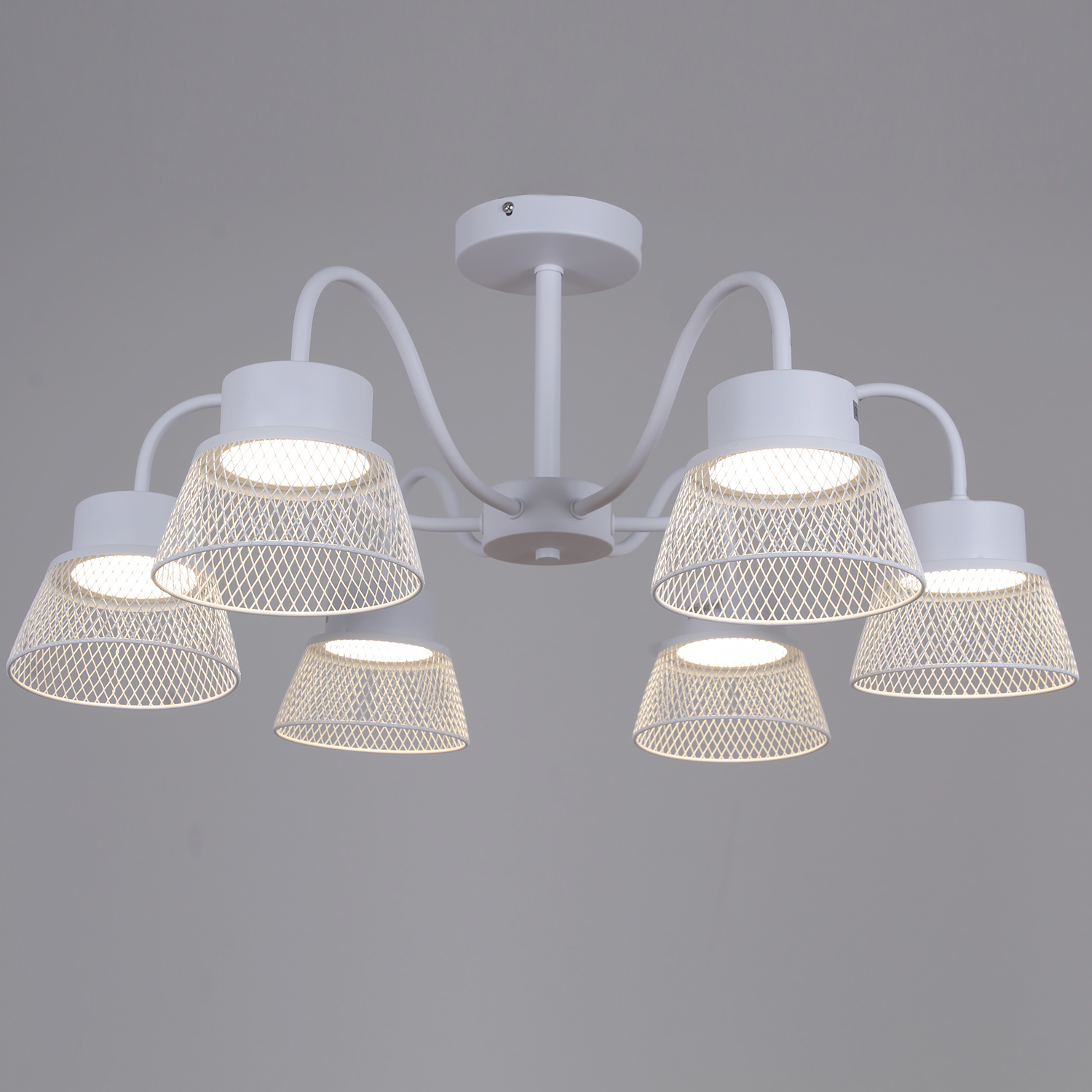 99010-0.3-06 WT светильник потолочный