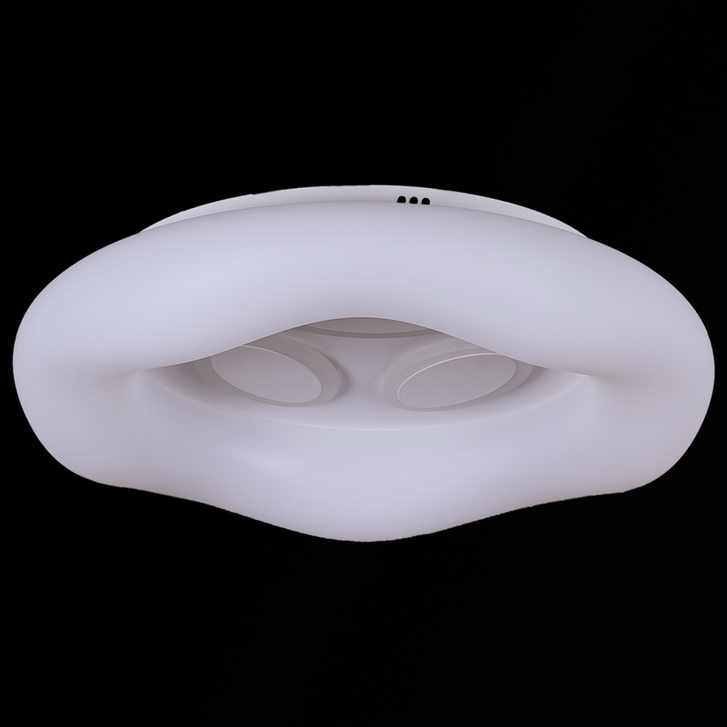 10008-0.3-80W PLANET светильник потолочный