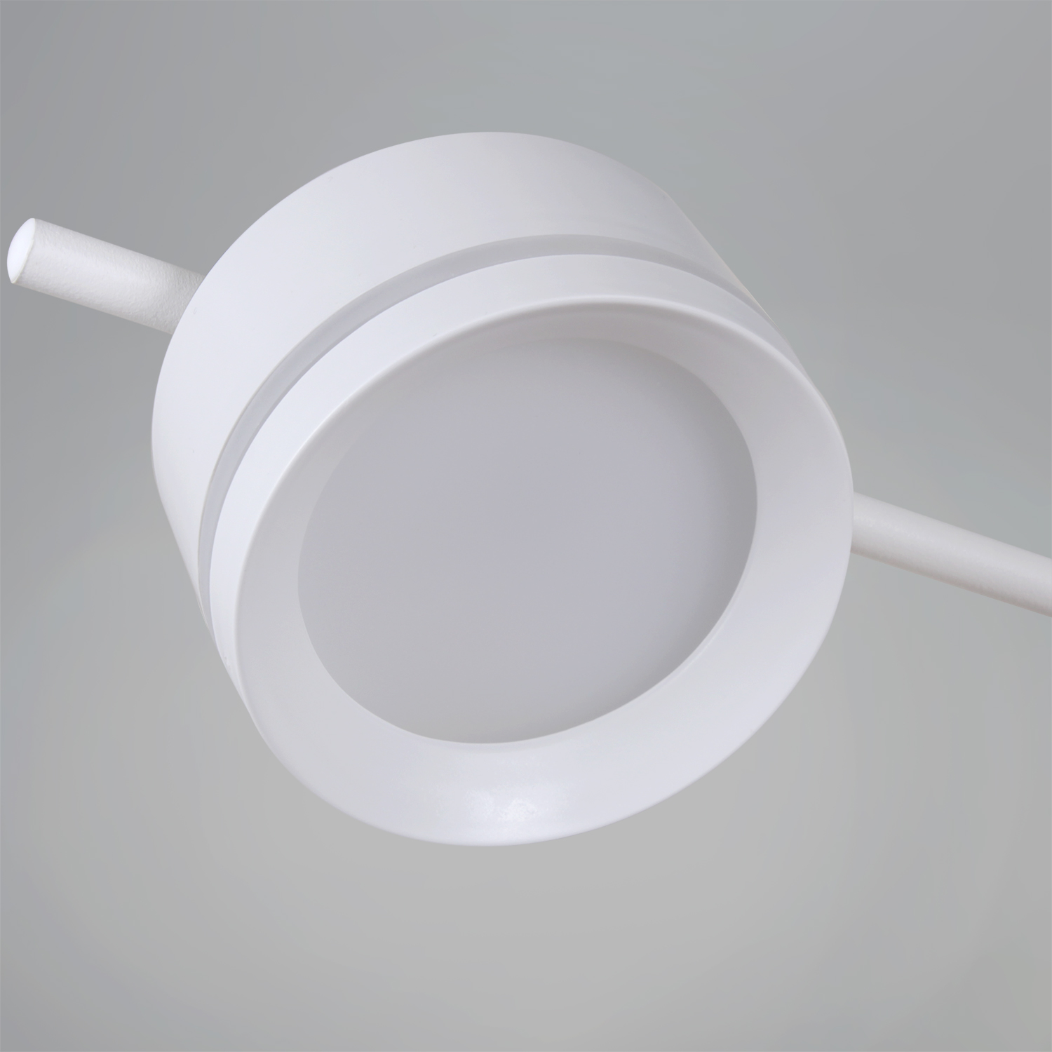 10590-0.3-06 White светильник потолочный