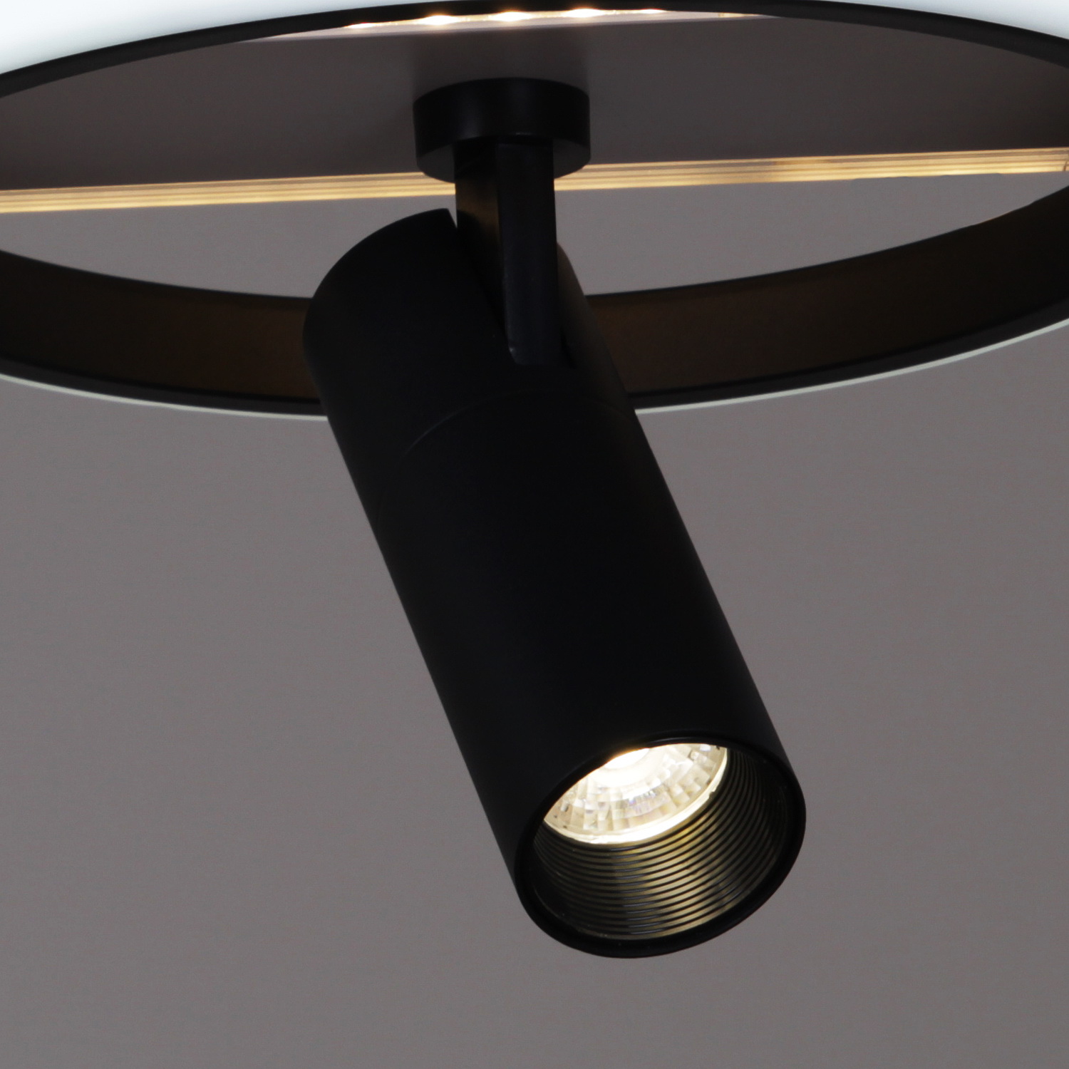 77804-3.3-2+2 "L" светильник потолочный