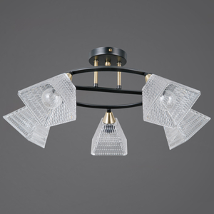 IL0850-5CSQ-25BKAB ELITE светильник потолочный