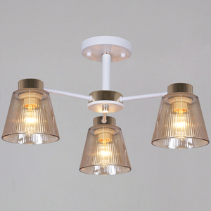 20560-0.3-03 WH+FG светильник потолочный