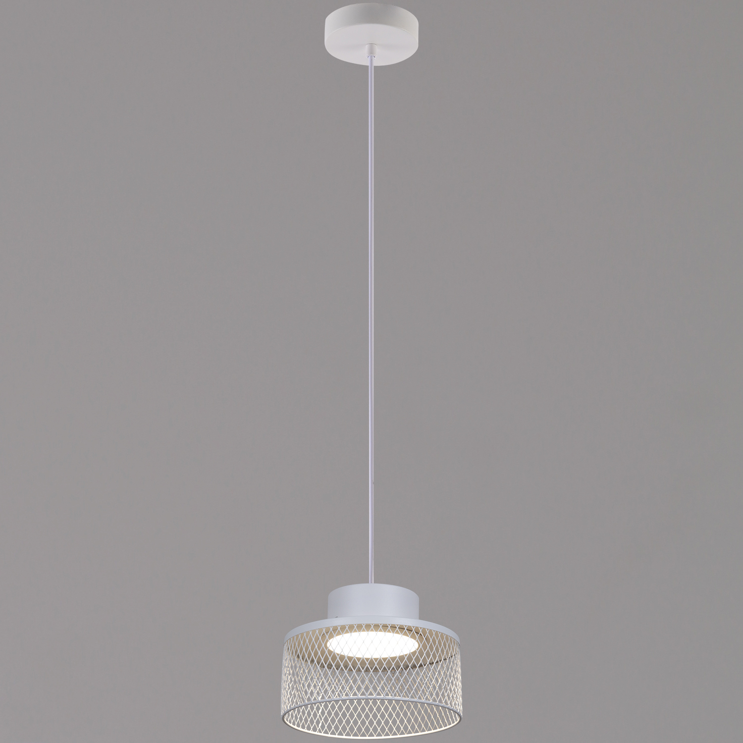 01110-0.9-01 WT светильник потолочный