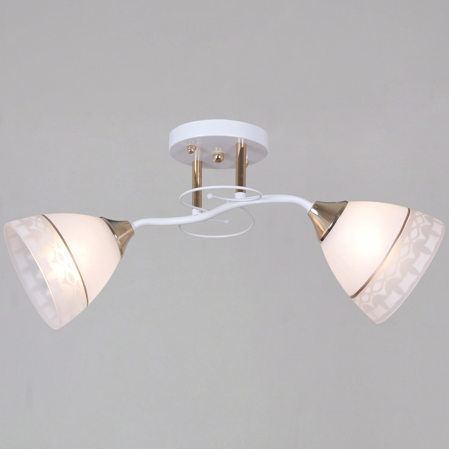 11460-0.3-02 WH+FG светильник потолочный