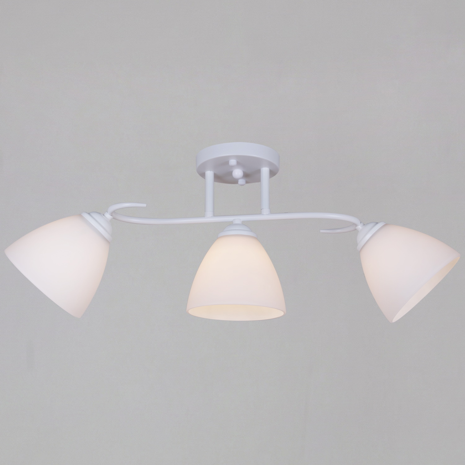 44560-0.3-03 WH светильник потолочный