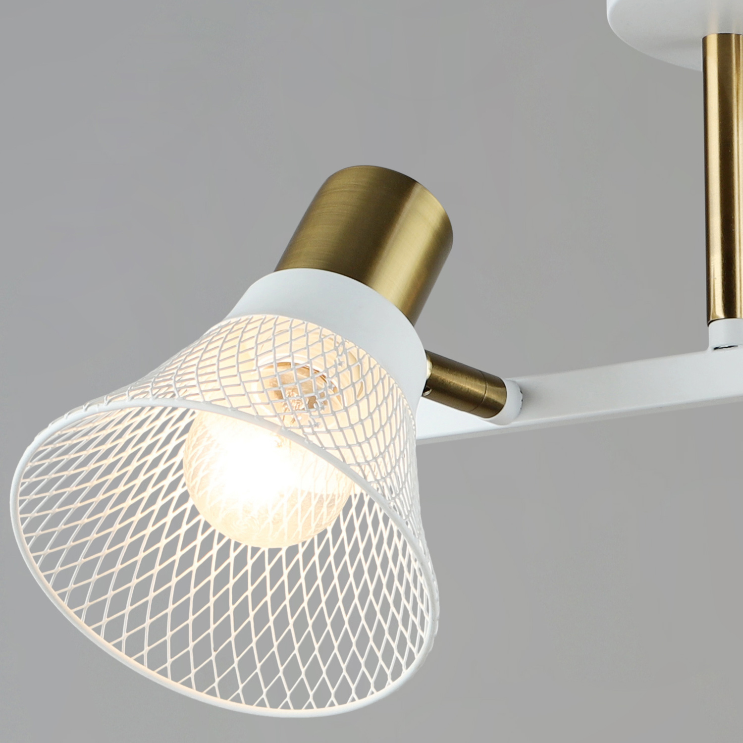 06245-0.3-02 WT+COP светильник потолочный