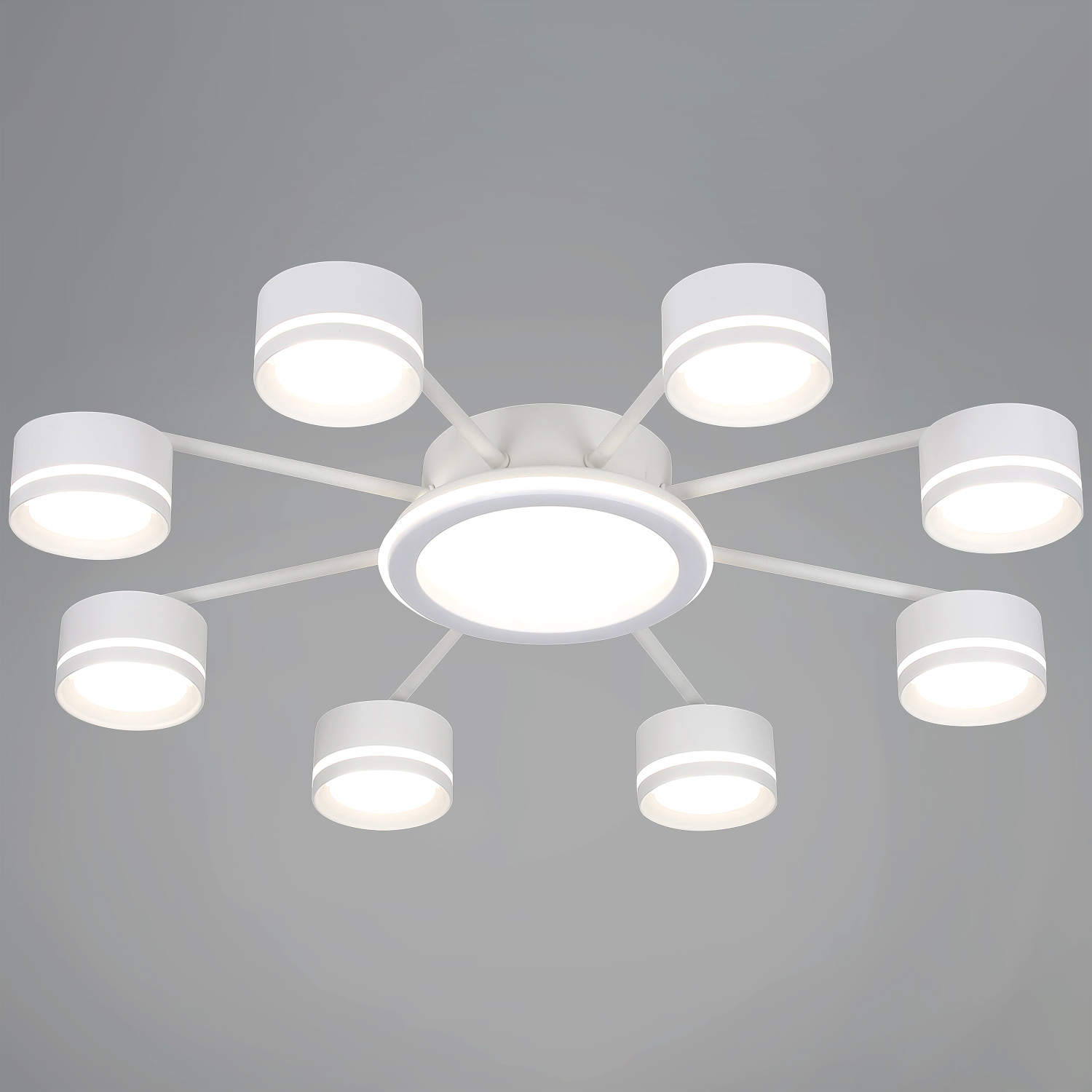 20590-0.3-8+1 White светильник потолочный