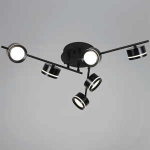 10590-0.3-06 Black светильник потолочный