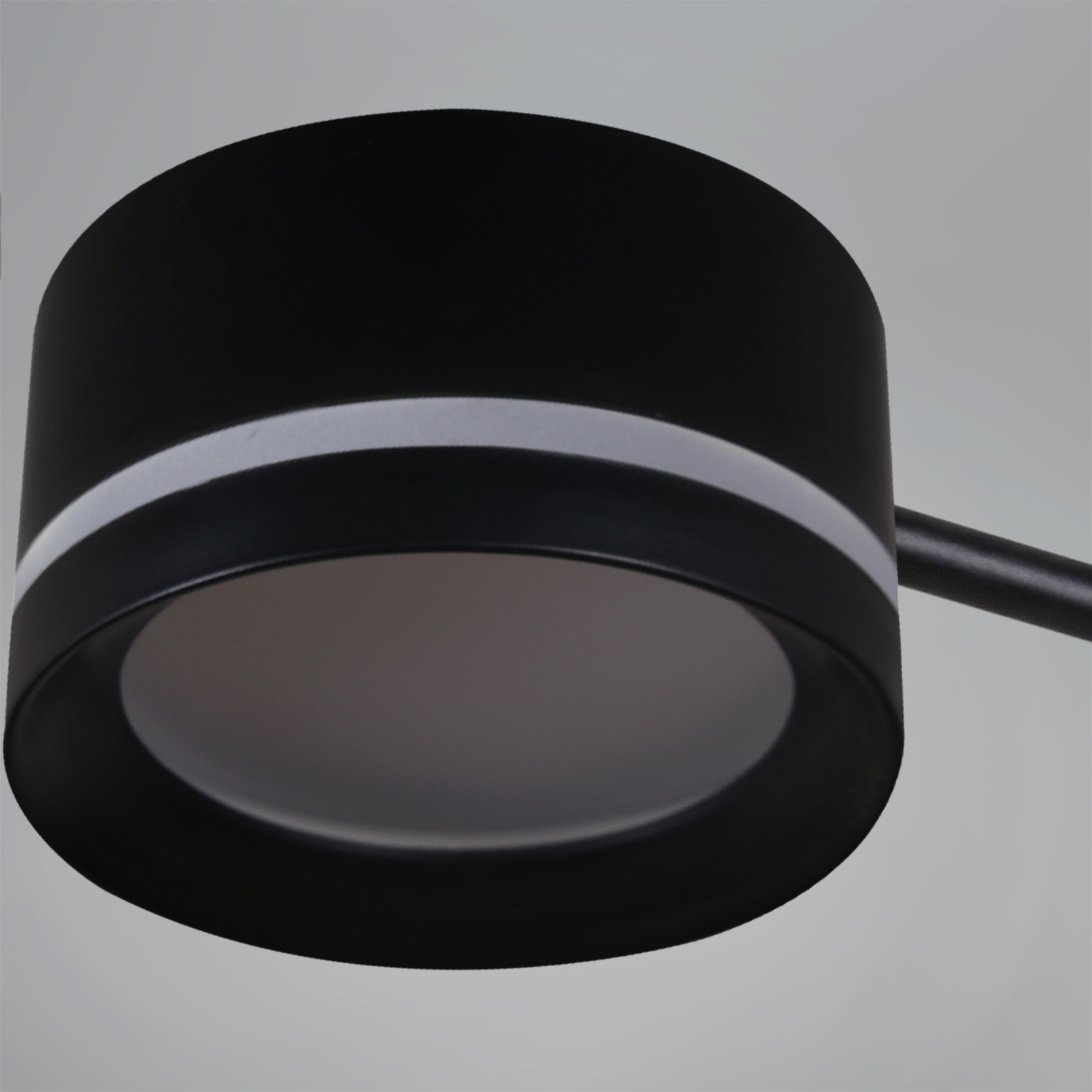 20590-0.3-3+3+1 "L" Black светильник потолочный